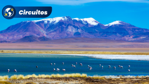 Atacama e Santiago